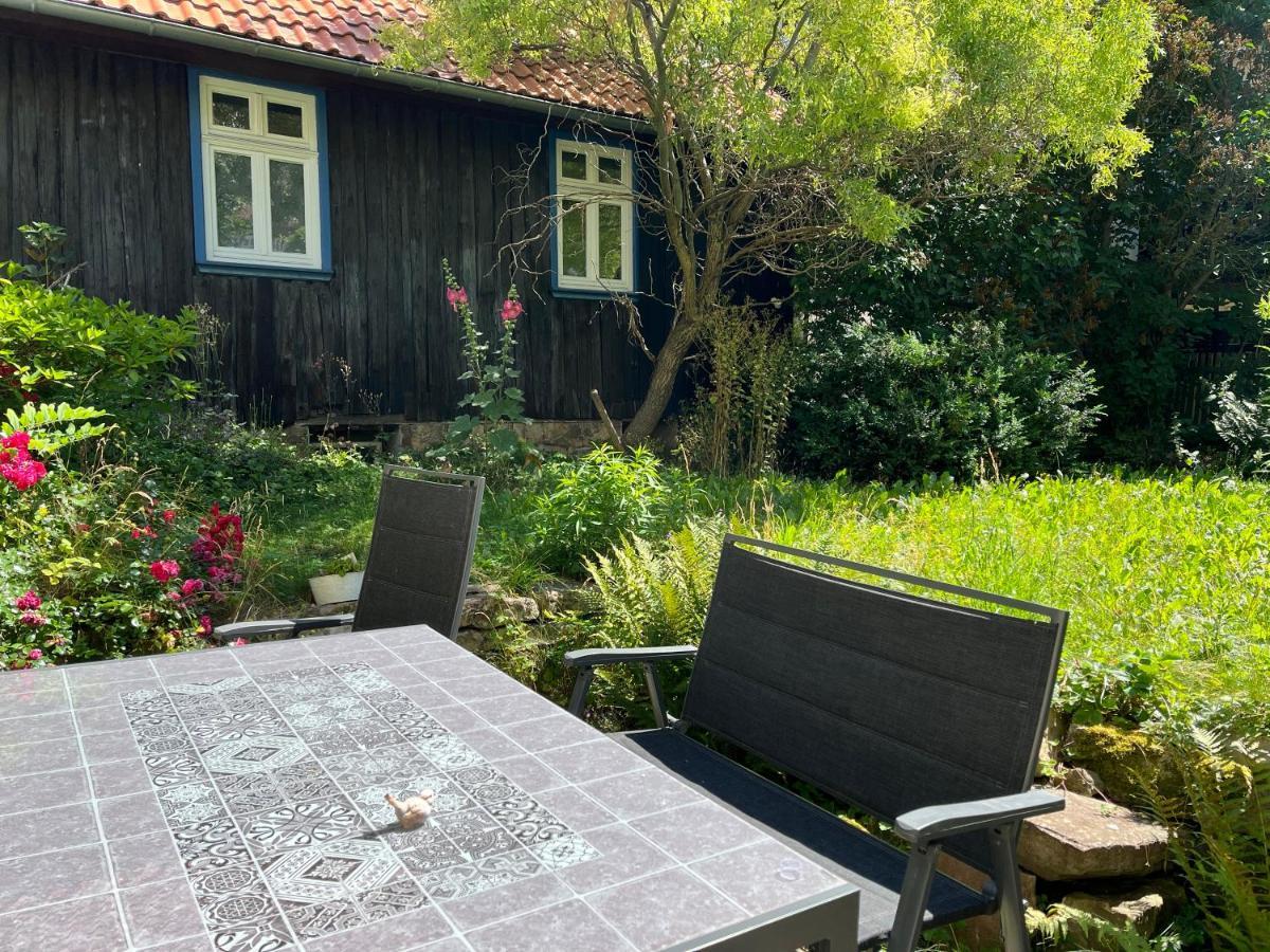"Kleinstes Haus Von Blankenburg" Urlaub In Einem Einzigartigen Baudenkmal Blankenburg (Harz) Exterior foto