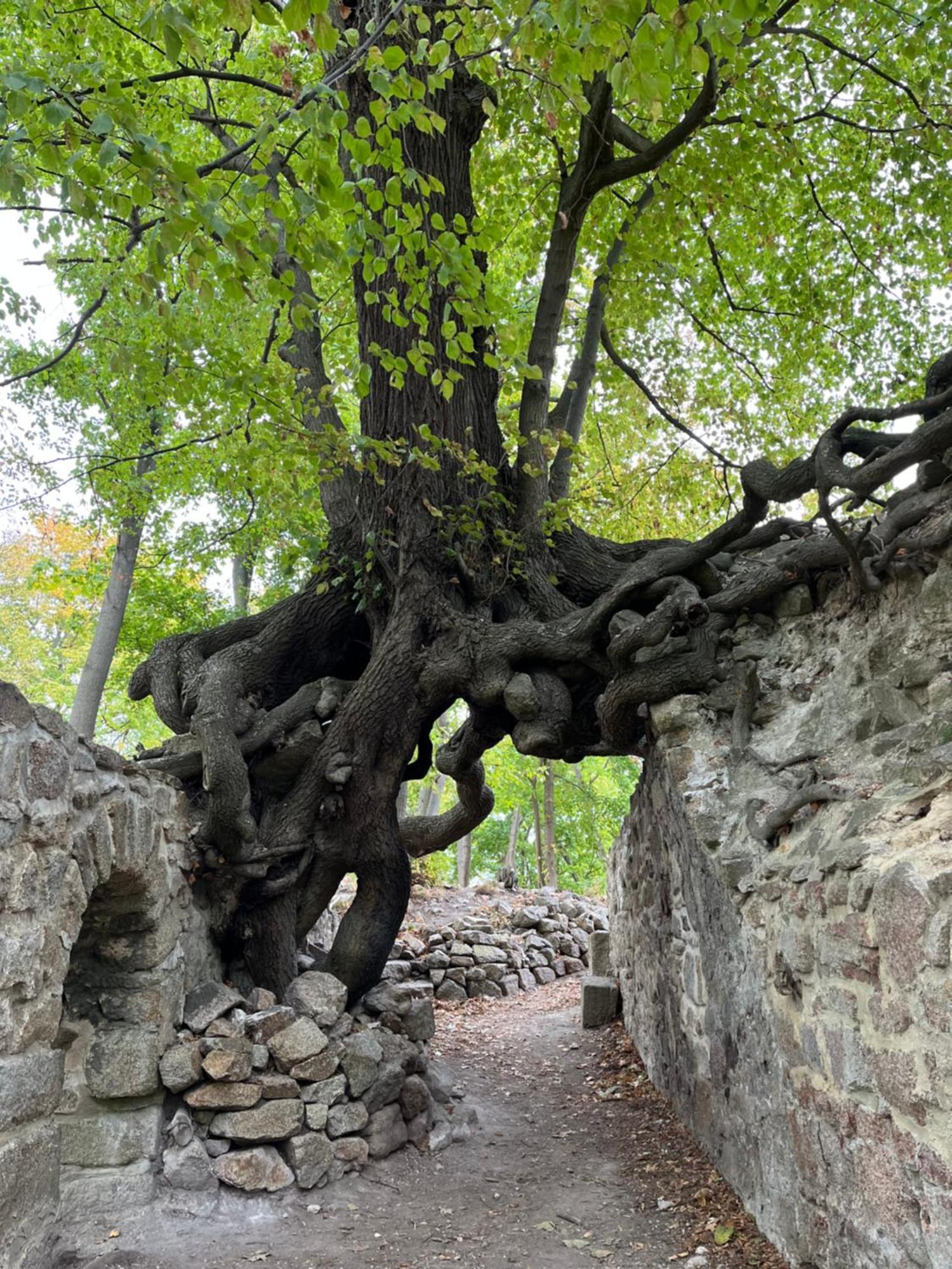 "Kleinstes Haus Von Blankenburg" Urlaub In Einem Einzigartigen Baudenkmal Blankenburg (Harz) Exterior foto